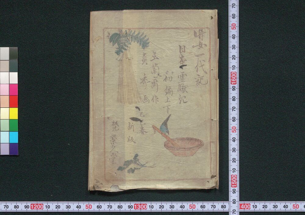 作品画像:お竹一代 黄金花 桜木双紙