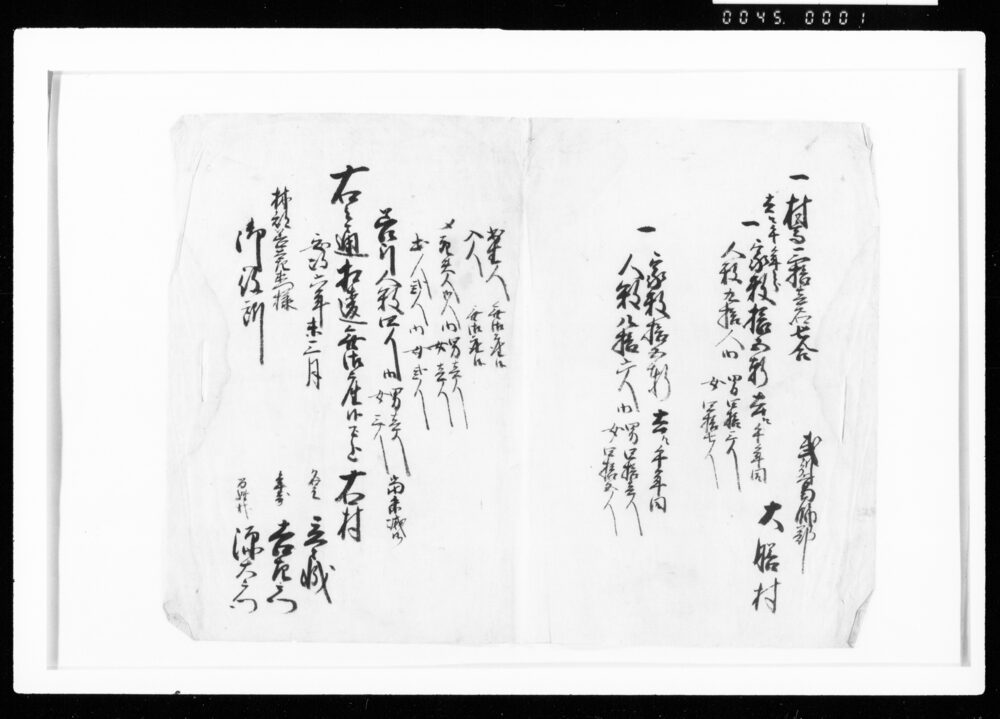 作品画像：[増減書上帳]