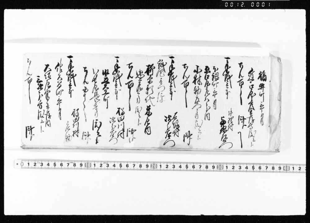 作品画像：[江戸預り物控覚帳]