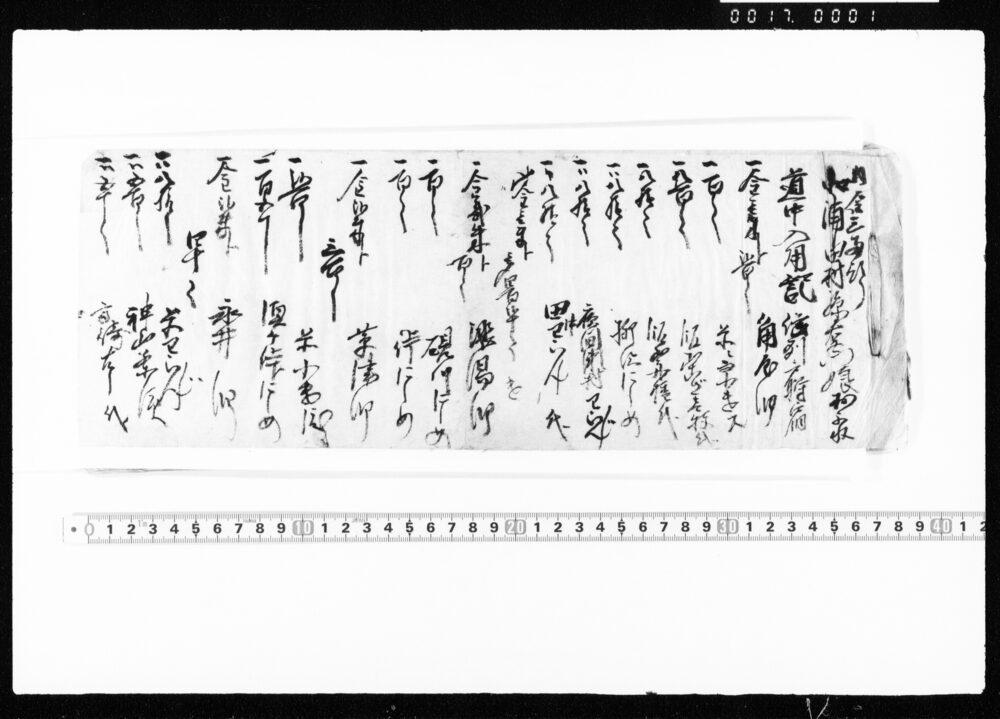 作品画像:北浦田村源右衛門娘およね道中入用記・東京買物之覚