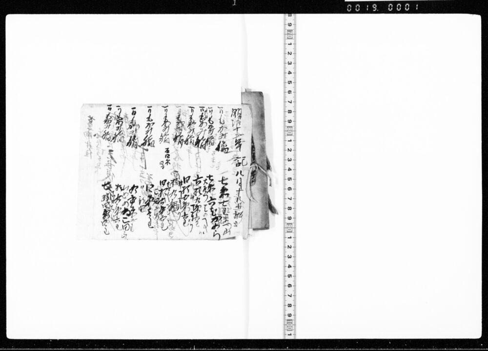 作品画像:稲苅帳