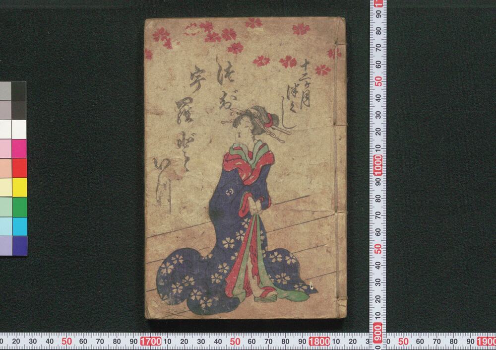 作品画像:十二ヶ月づくし つじうらどゝいつ