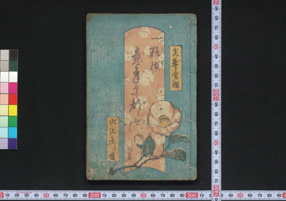 作品画像:一粒撰意気な都々逸 初篇