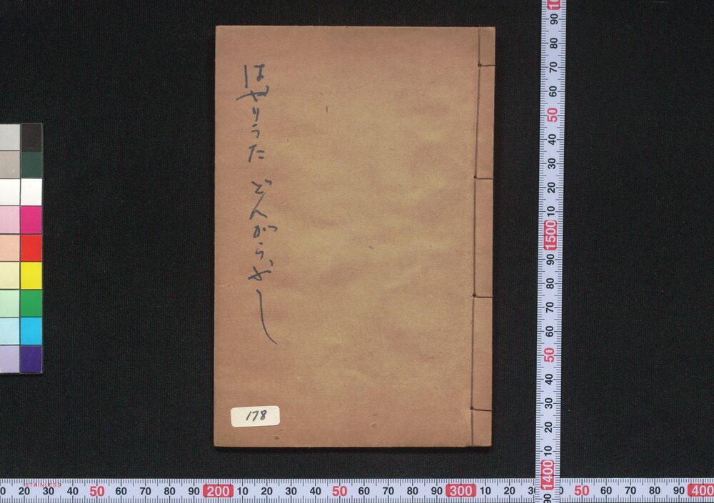 作品画像:はやりうたどんからぶし