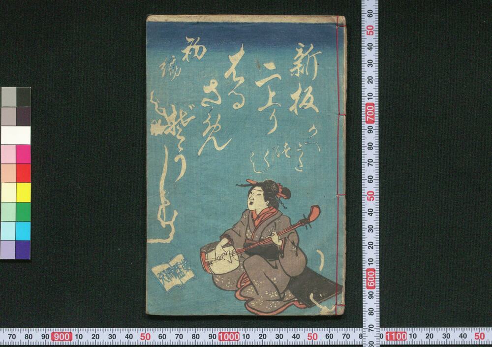 作品画像:新板二上リはるさめぞうし 初編