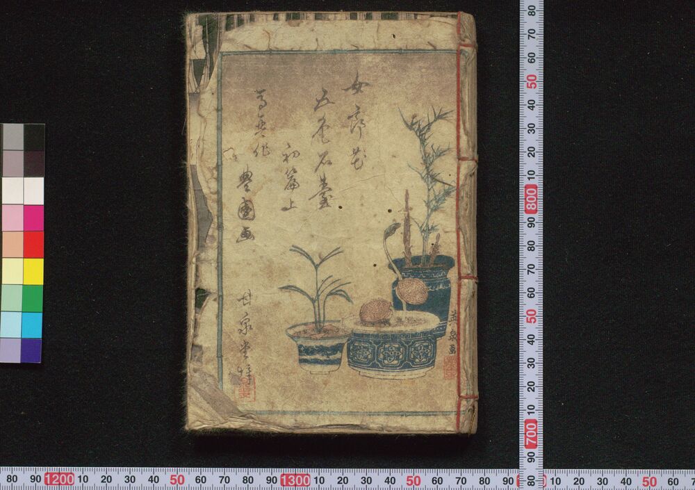 作品画像:女郎花五色石台