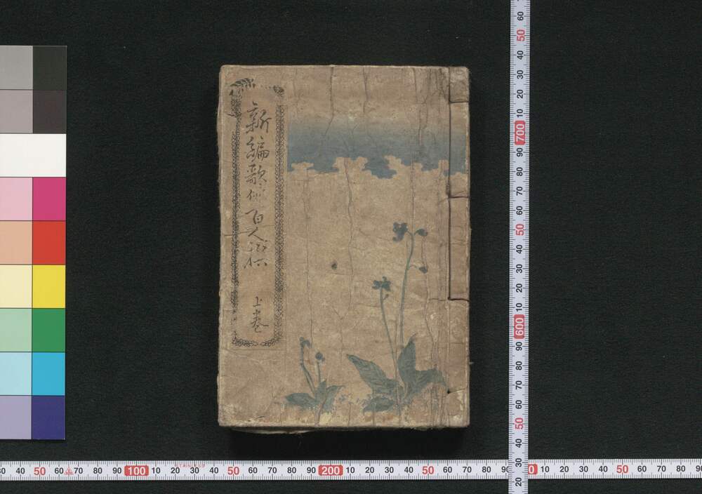 作品画像:新編歌俳百人撰