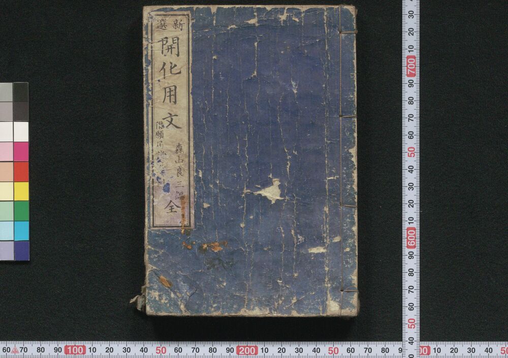 作品画像:新選開化用文