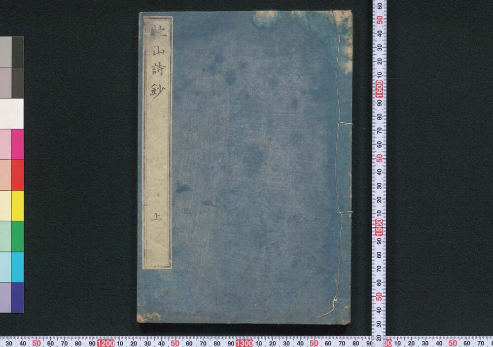 作品画像:枕山詩鈔