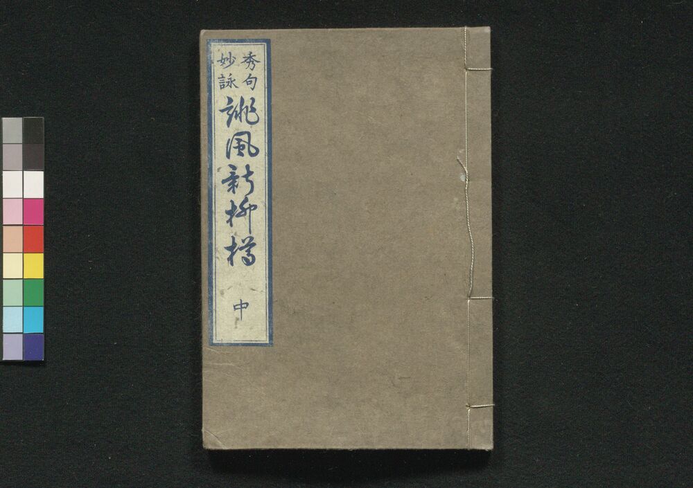 作品画像:誹風新柳樽 中