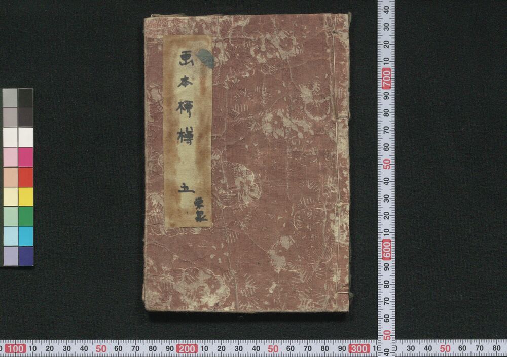 作品画像:画本柳樽 英泉五