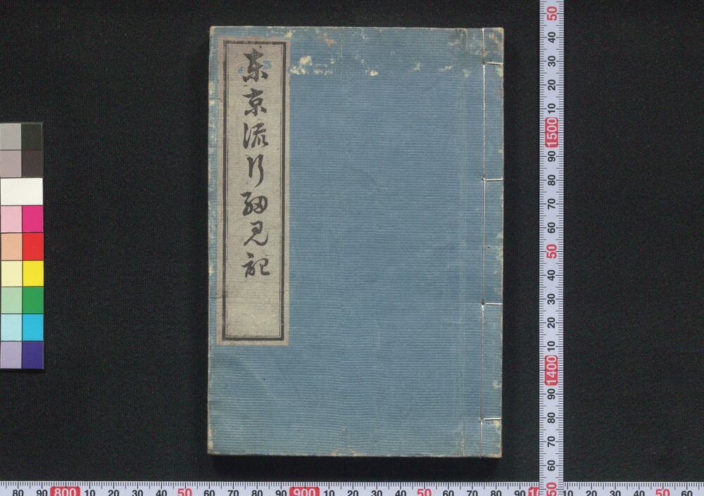 作品画像:東京流行細見記