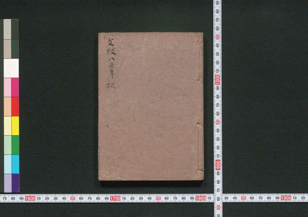 作品画像：［新吉原細見］