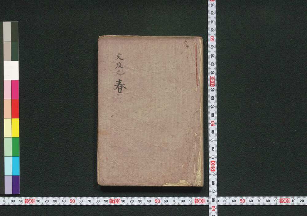 作品画像：［新吉原細見］