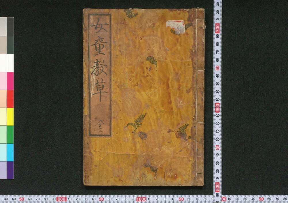 作品画像:女童教草