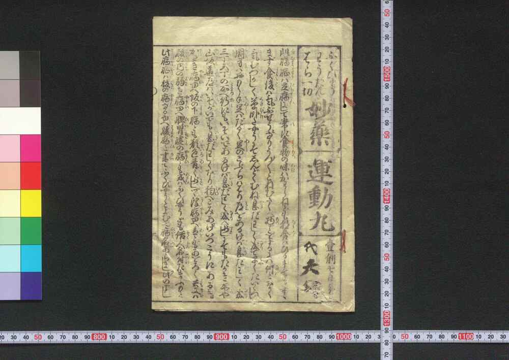 作品画像:妙薬運動丸
