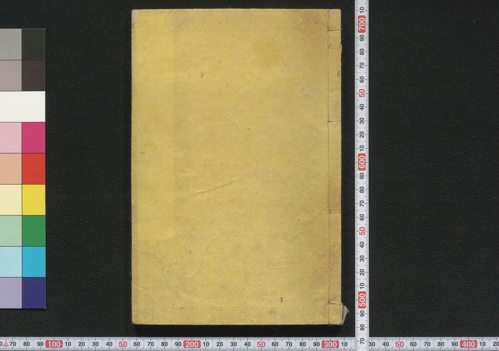 作品画像:物理全志