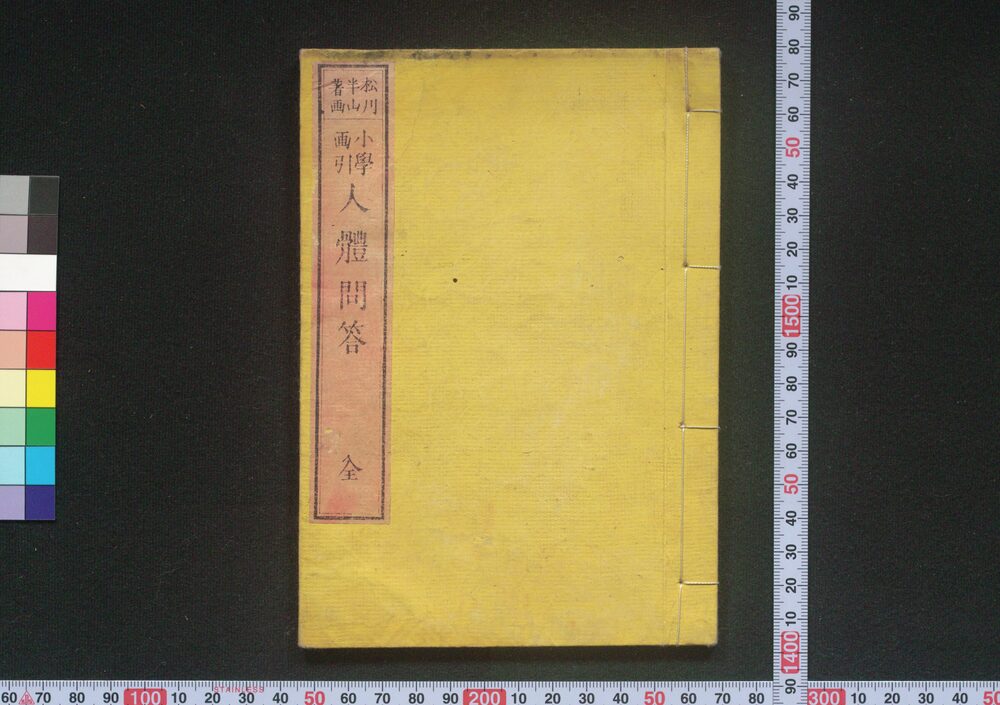 作品画像:小学画引人体問答