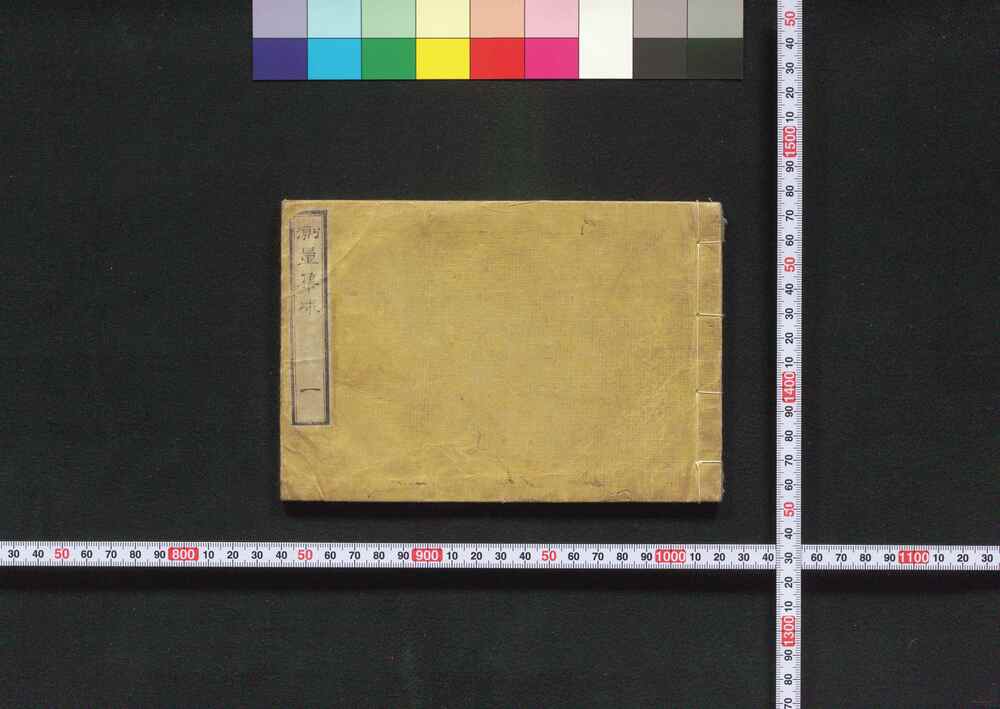 作品画像:測量集成
