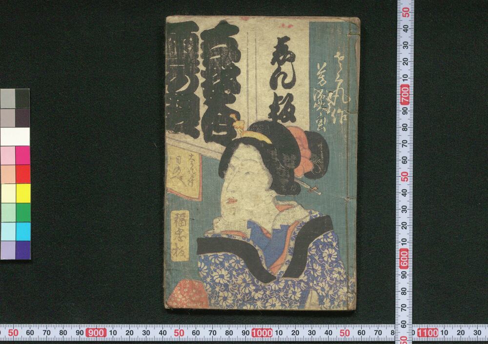 作品画像:しん板なぞ合雪の翌