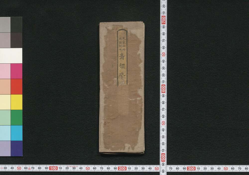 作品画像:青標紙