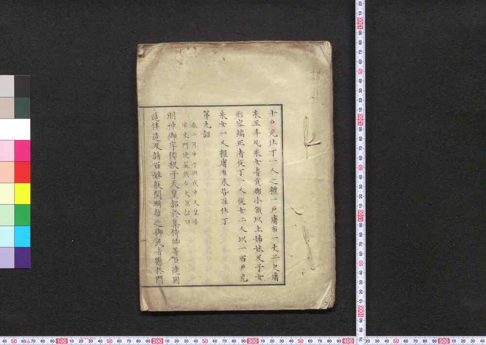 作品画像：[詔集]