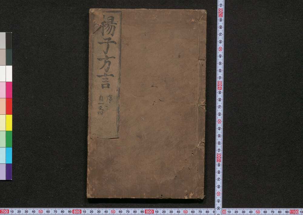 作品画像:楊子方言