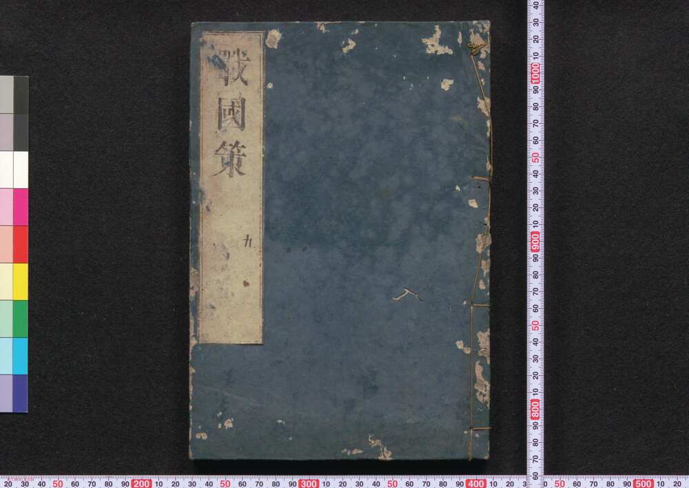作品画像:戦国策譚#