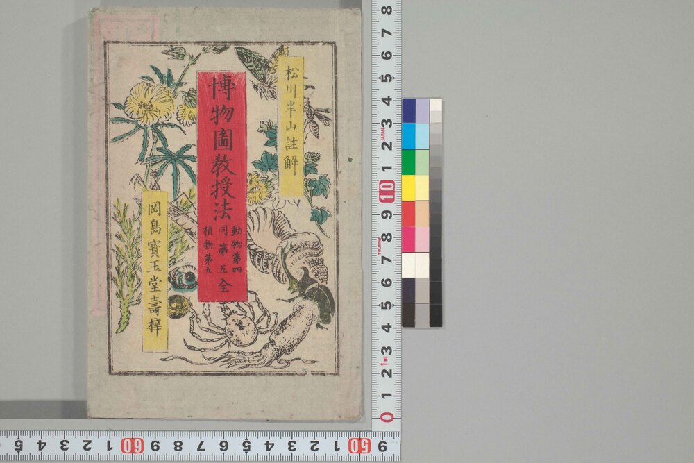 作品画像:博物図教授法