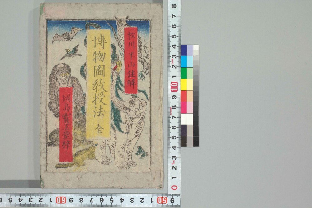 作品画像:博物図教授法