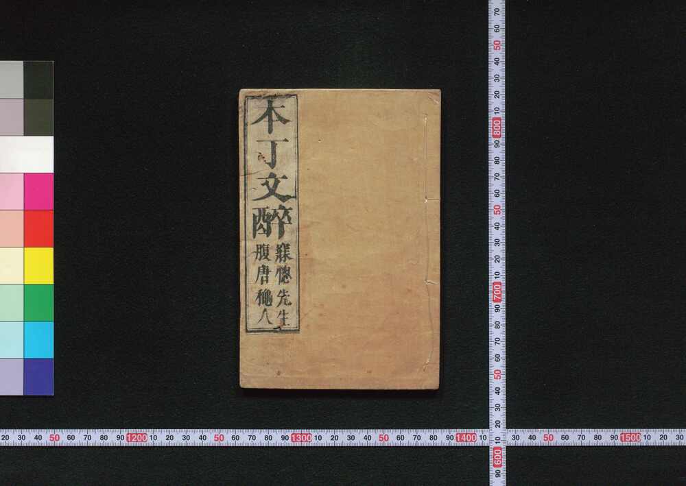 作品画像:本丁文酔