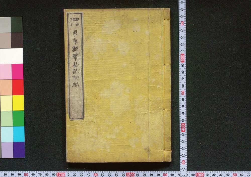 作品画像:東京新繁昌記