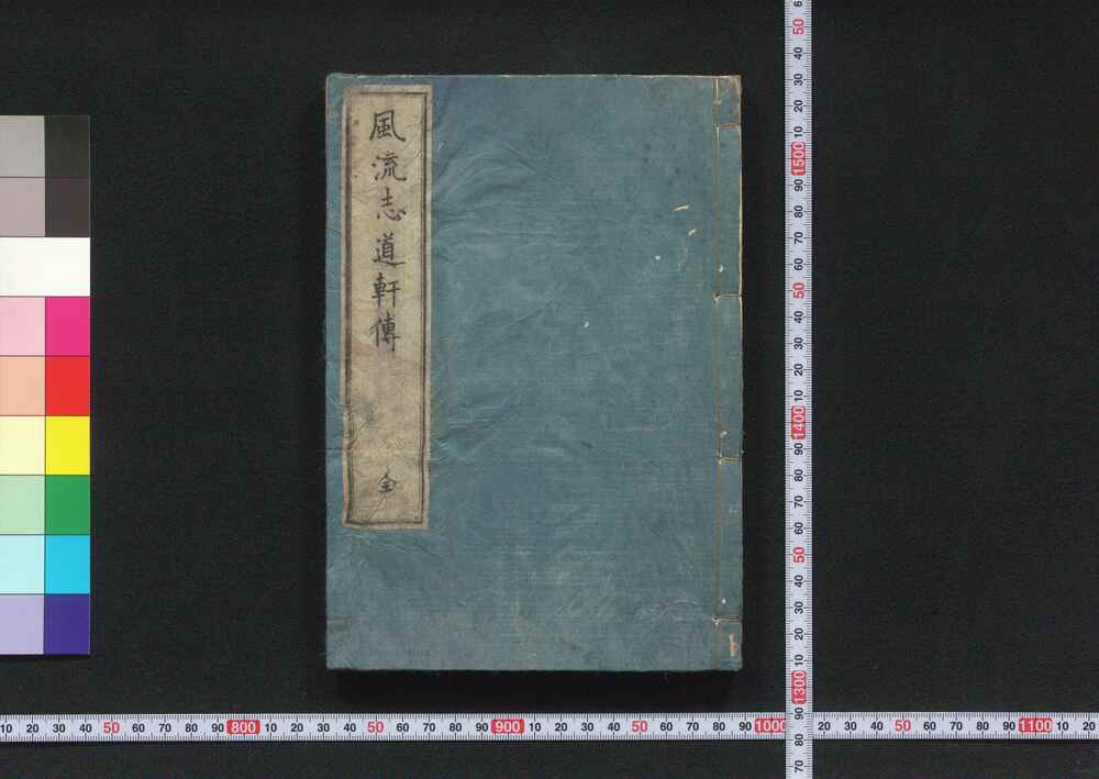作品画像:風流志道軒伝