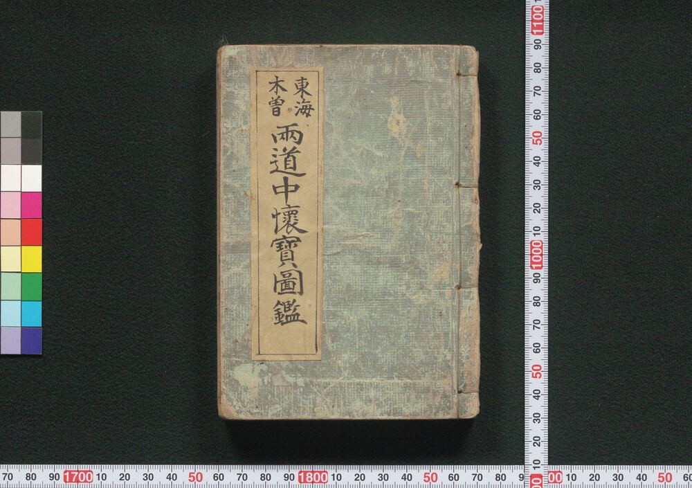 作品画像:東海木曽両道中懐宝図鑑