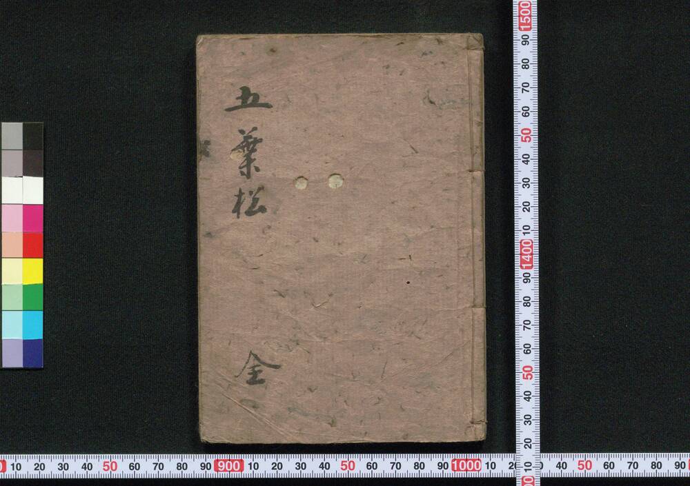 作品画像：[吉原細見五葉松］