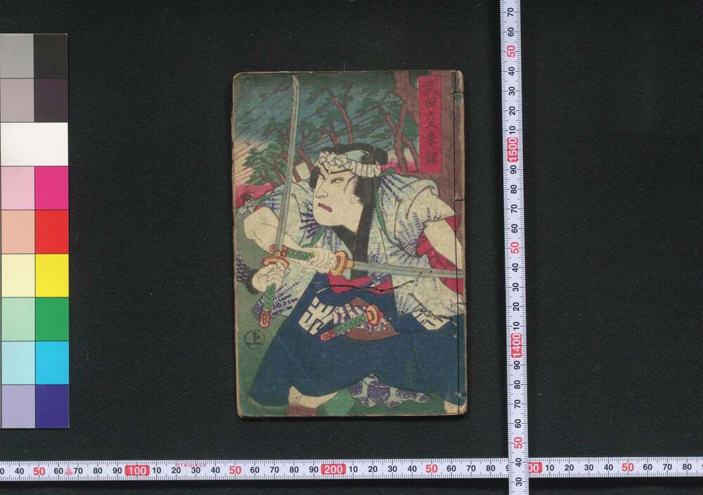 作品画像:日本晴伊賀報讐