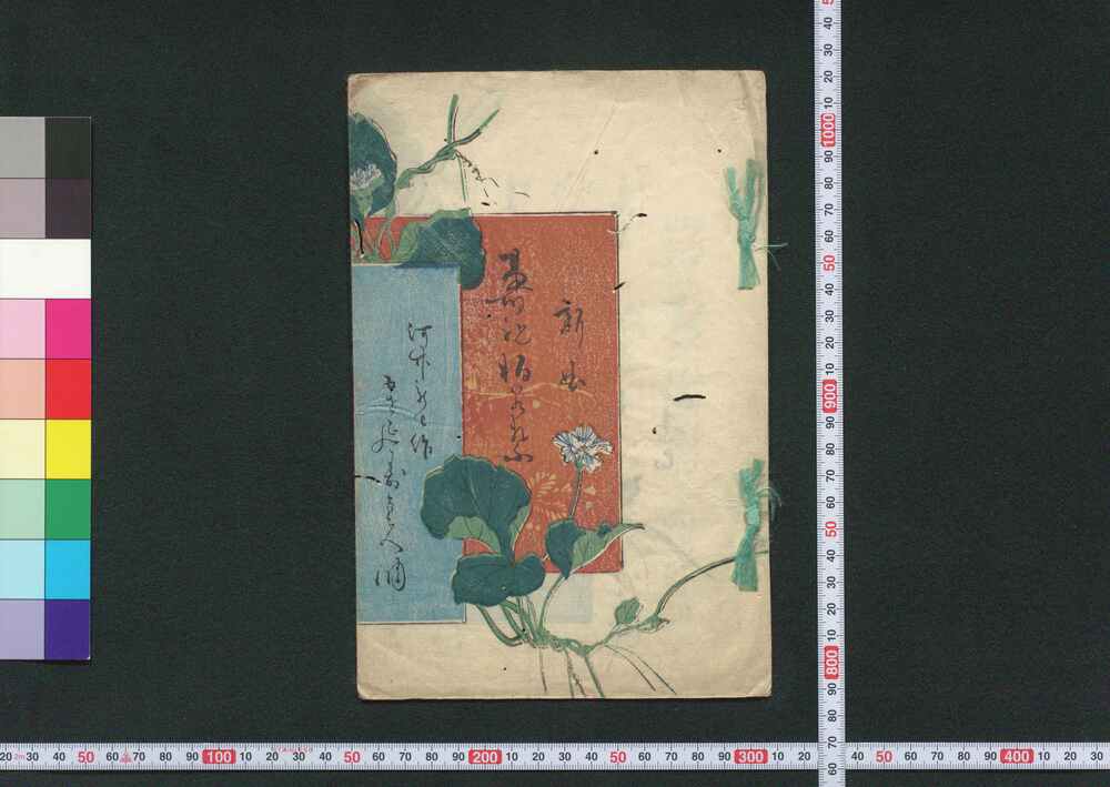 作品画像:新曲 寿祝柏若葉
