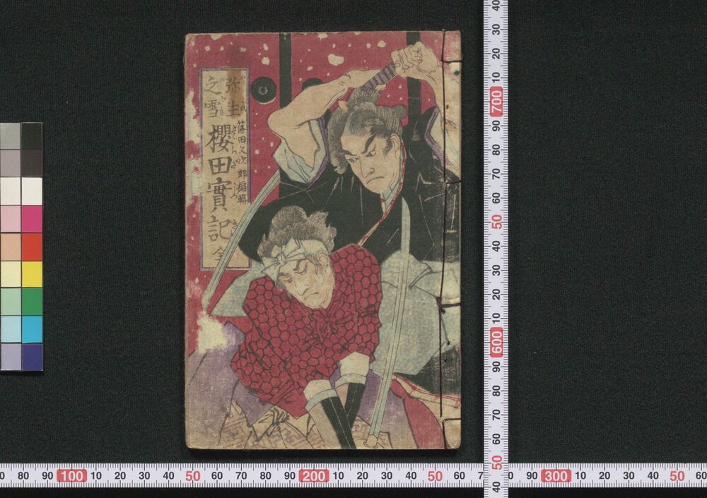 作品画像:弥生之雪桜田実記