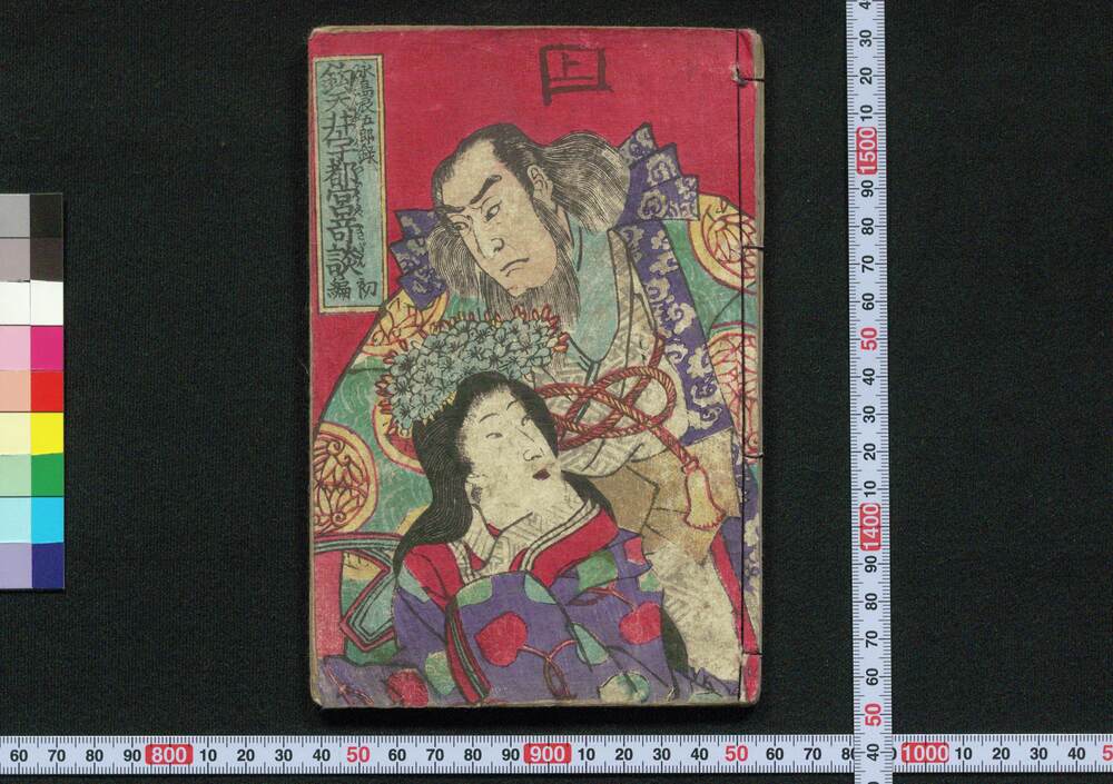 作品画像:釣天井宇都宮奇談 初・二編