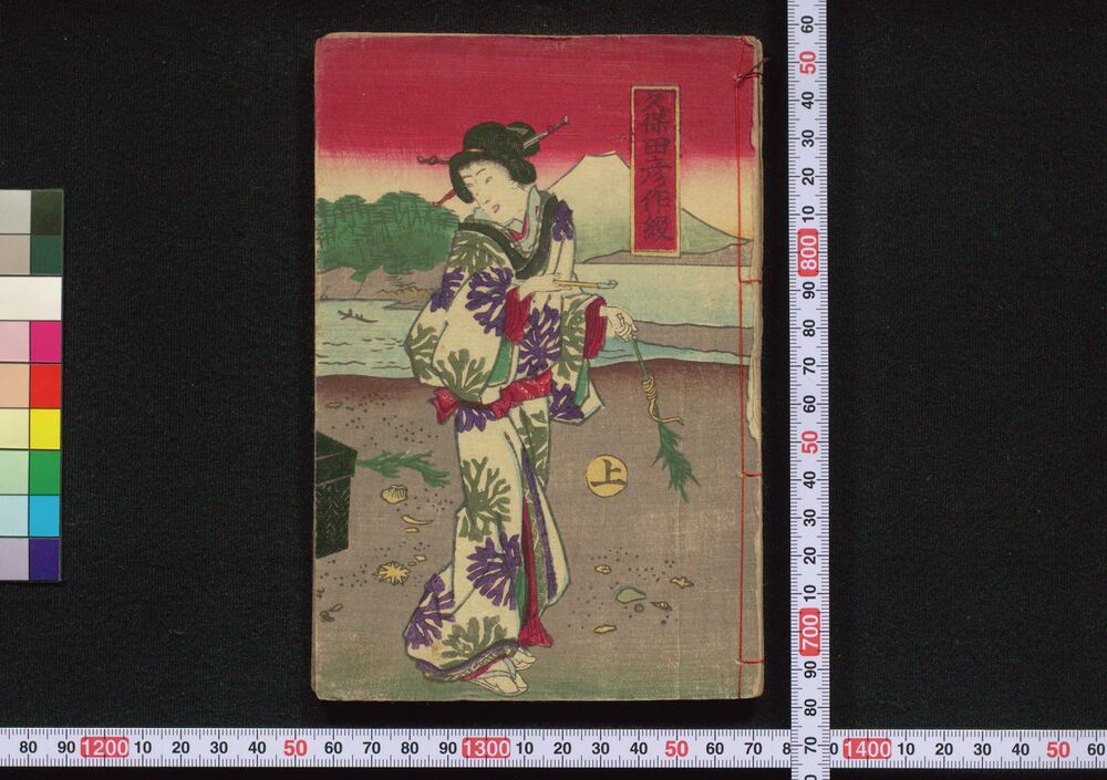 作品画像:浪枕江廼島新語
