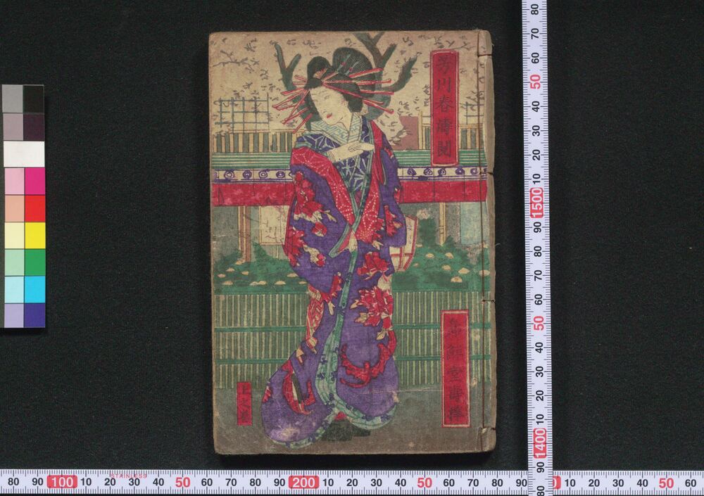 作品画像:色吉原盛糸裲襠