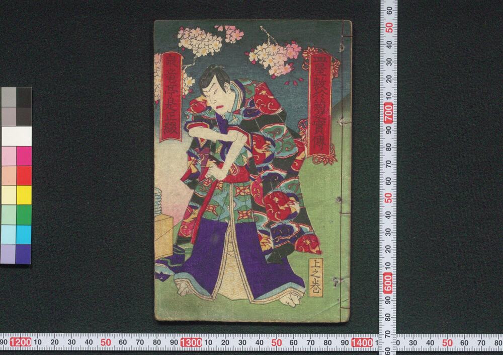 作品画像:皿屋敷於菊之実伝