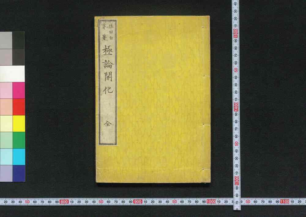 作品画像:極論開化
