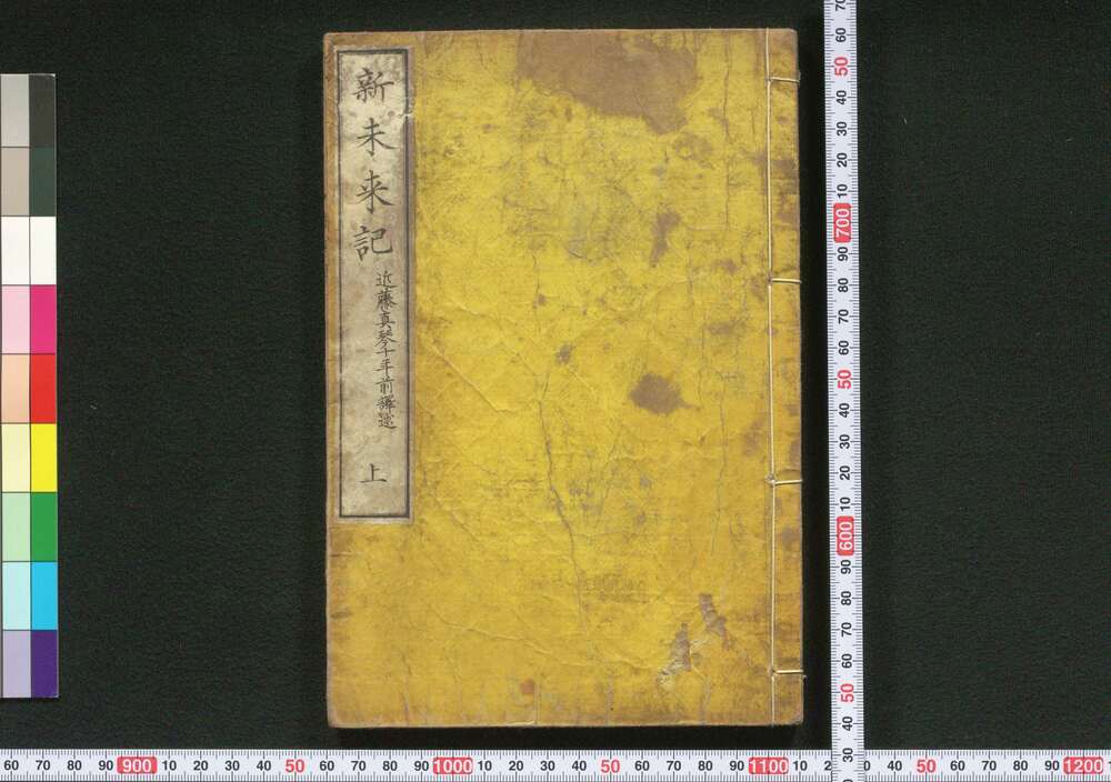 作品画像:新未来記