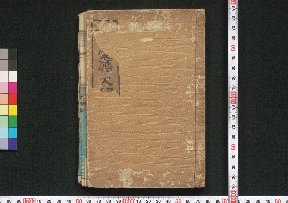 作品画像:風説 慶応大功記 初編