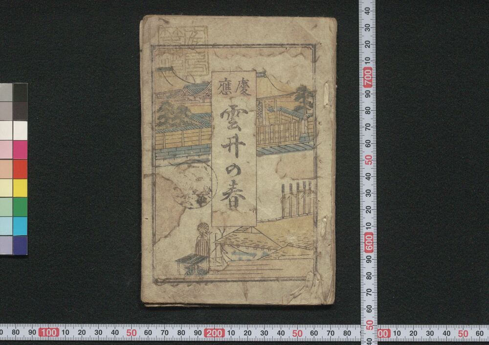 作品画像:慶応 雲井の春