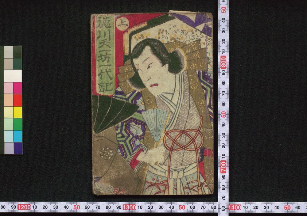 作品画像:徳川天一坊一代記