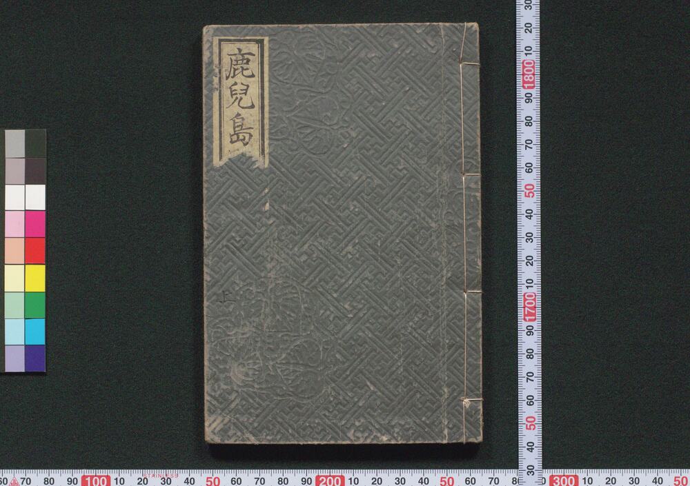 作品画像:鹿児島戦争記