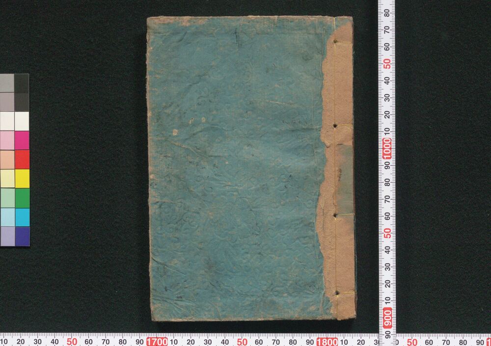 作品画像:西南鎮静記
