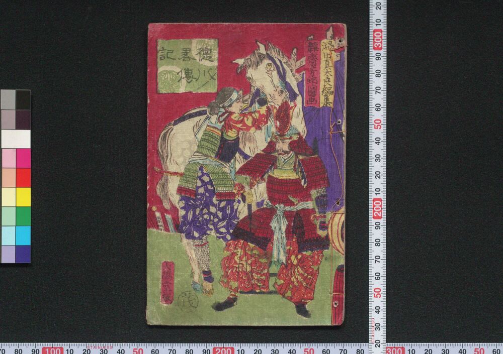 作品画像:徳川略伝記